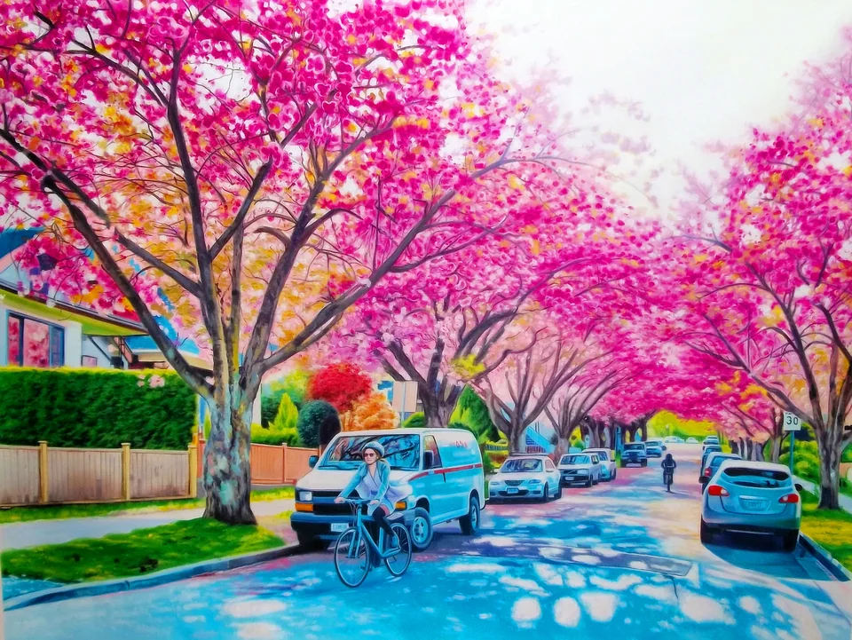 Vancouver Cherry Blossoms